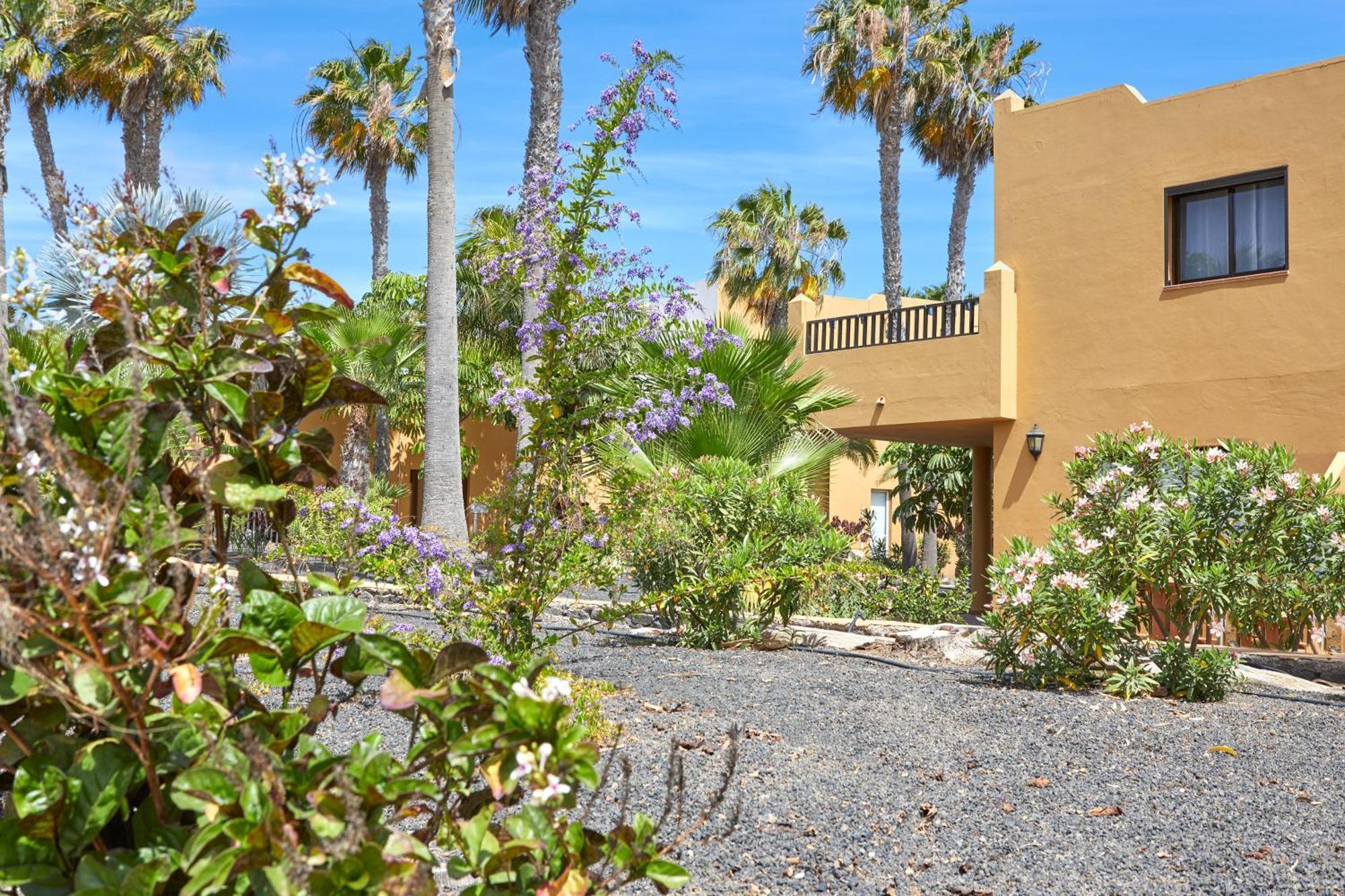 Apartamento Samira Fuerteventura Corralejo Buitenkant foto
