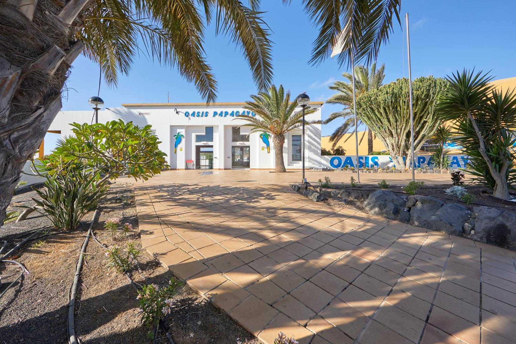 Apartamento Samira Fuerteventura Corralejo Buitenkant foto